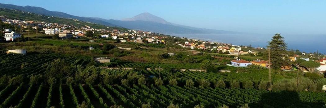 Stunning Views At Tenerife Tacoronte Ngoại thất bức ảnh
